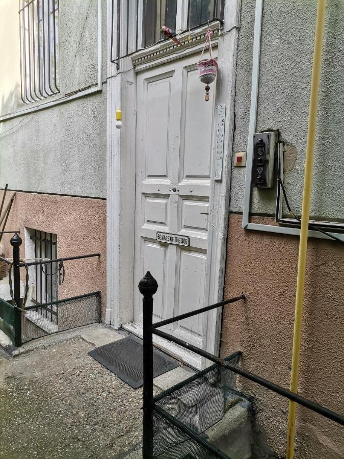 בודפשט Flat In Historic Villa With Your Own Private Garden, Near City Park מראה חיצוני תמונה